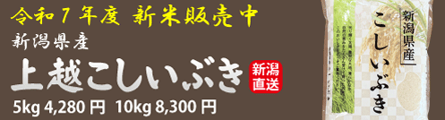 ֤ۤڿơ䳫