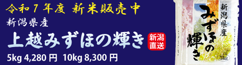 ¤ß¤º¤Û¤Îµ±¤¡Ú¿·ÊÆ¡ÛÈÎÇ䳫»Ï