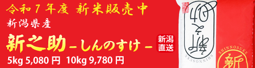 ۡǷڿơ䳫