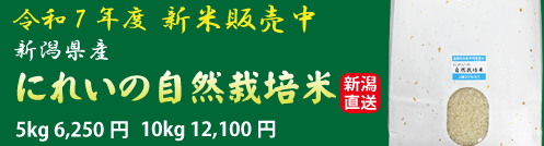 ¤ß¤º¤Û¤Îµ±¤¡Ú¿·ÊÆ¡ÛÈÎÇ䳫»Ï