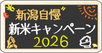 ¿·ÊÆ¥¥ã¥ó¥Ú¡¼¥ó2026