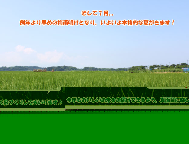 ƲƤޤ