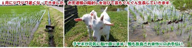 6ȥ兩Ȥ뤵