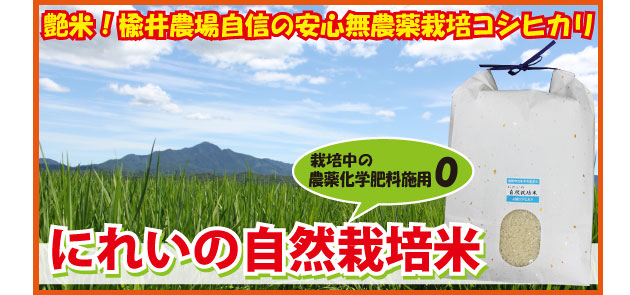 にれいの自然栽培米新米