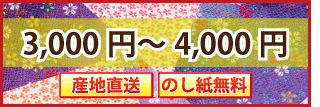 3000円〜4000円ギフト
