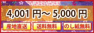 4001円〜5000円ギフト