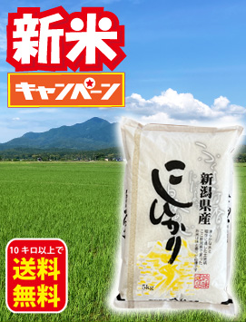 新潟産上越コシヒカリ