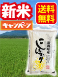 新潟産上越コシヒカリ