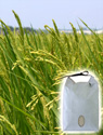 にれいの自然栽培米